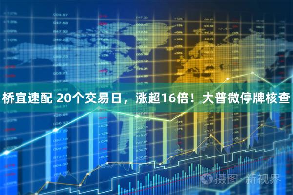 桥宜速配 20个交易日，涨超16倍！大普微停牌核查